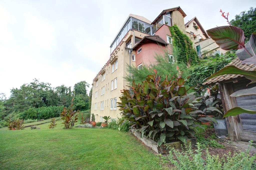 Kapuzinergarten Panoramahotel Breisach Εξωτερικό φωτογραφία